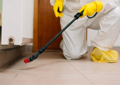 Safe Pest Control for Home Maintenance