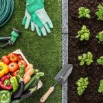 Choosing the Right Irrigation Pump for Your Needs