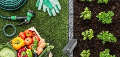 Choosing the Right Irrigation Pump for Your Needs