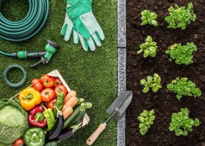 Choosing the Right Irrigation Pump for Your Needs